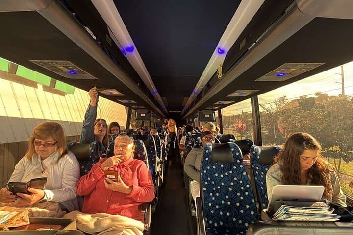 Discover the magic of Key West: book your experience today! 5