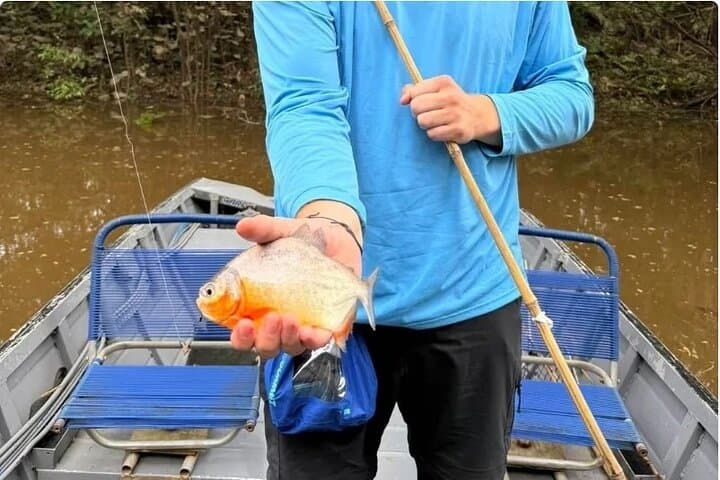 Piranha Fishing in Tambopata  3