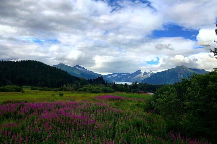 Juneau Shore Fishing and Glacier View Stop 