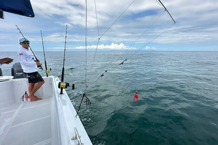 Full Day Sportfishing Charter Inshore or Offshore 5