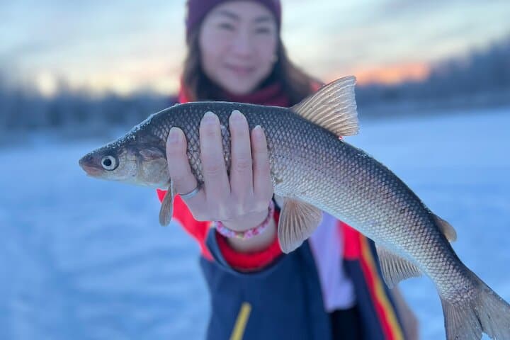 Fairbanks Aurora Viewing and Ice Fishing Tour 