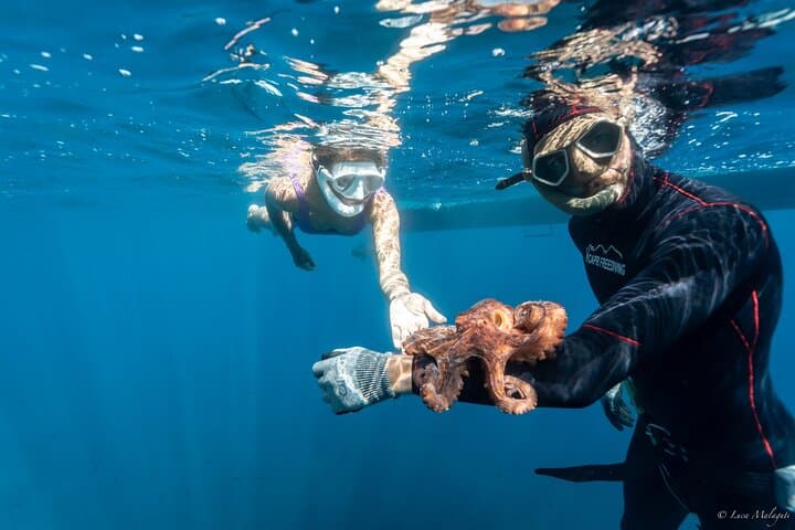 Spearfishing Adventure on the Amalfi Coast