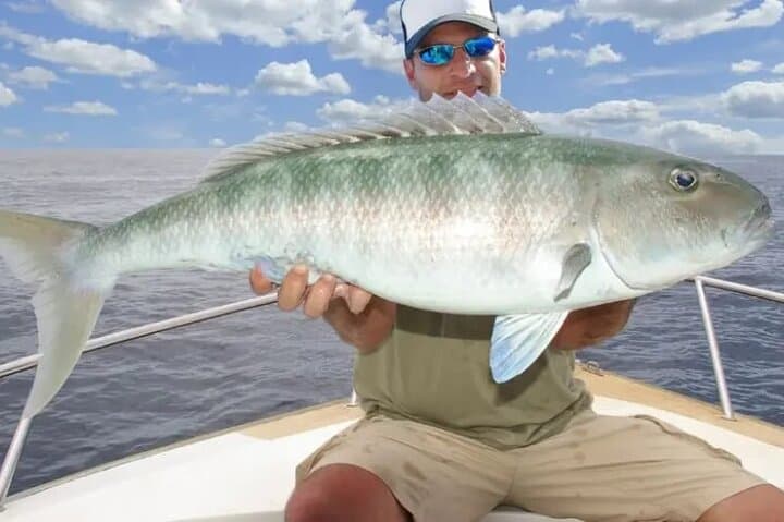 Private Deep Sea Fishing Trip with Professional Crew Dubai Marina 3