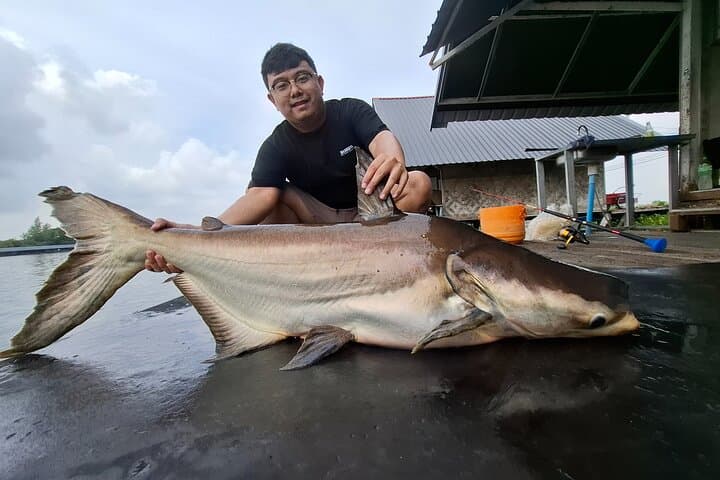 Mekong Catfish and Siamese Carp Fishing Guarantee Good Fishing  3