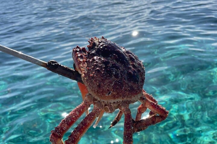 Reef fishing beach cook out  2