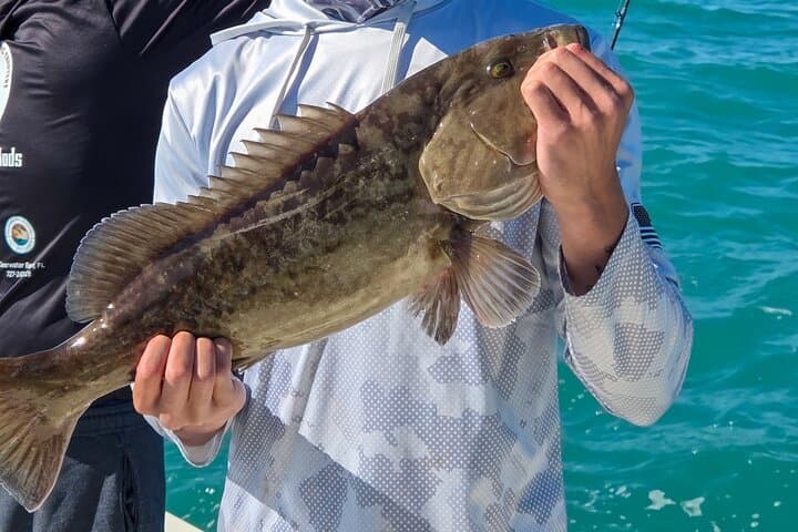 Charters de Pesca Épicos em Clearwater Beach, Flórida - Photo 4