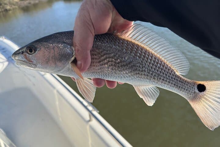 Fishing Charters in Mount Pleasant 3