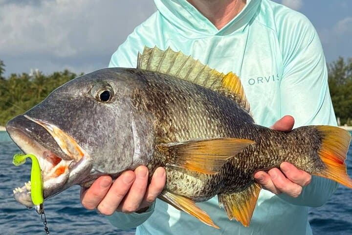 Sportfishing in Maldives 5