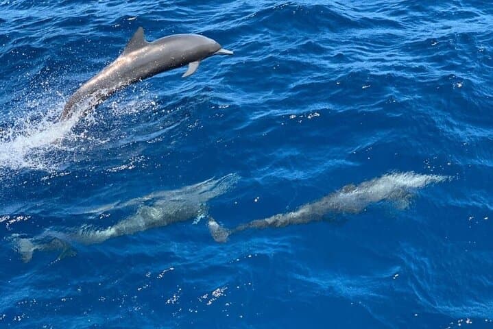 Fishing and snorkeling in Playa Flamingo drink and snacks 3