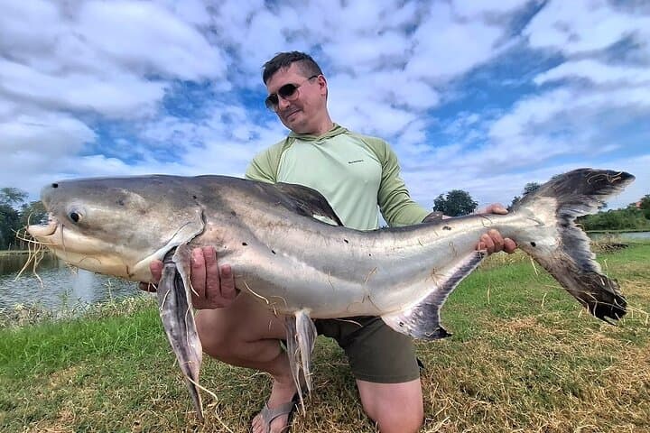 Predator Fishing Adventure for Chaophraya Catfish and More 4