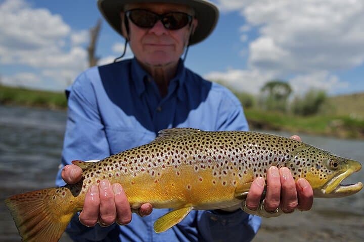 Aventure de pêche à la mouche guidée d'une journée complète à Bozeman, MT - Photo 2