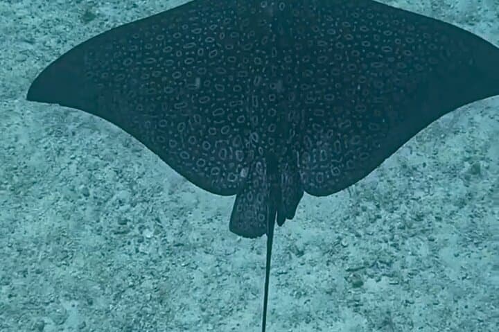  Snorkel, Fishing & Beach BBQ –All-Inclusive 3