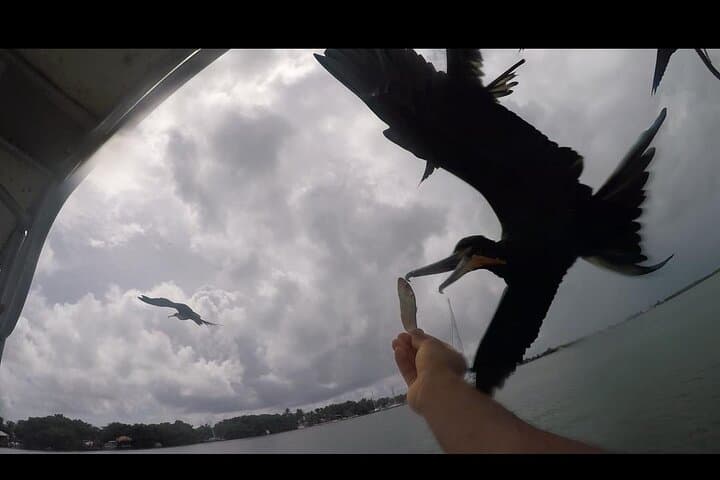  Snorkel, Fishing & Beach BBQ –All-Inclusive 4