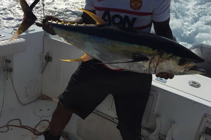 Private Falmouth Jamaican Fishing Adventure 5