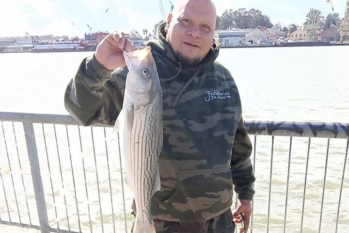 Bay Area Pier Fishing: Striped Bass Hunting (No license Required)