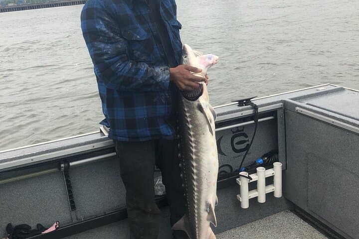 Bay Area Pier Fishing: Sturgeon, Sharks, and Stingray Hunt