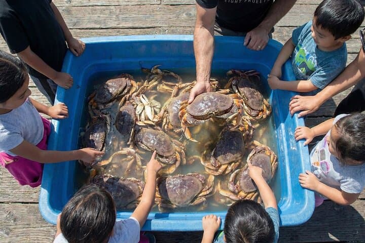 Bay Area Pier Fishing: Crab Harvest (No license Required)