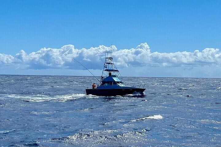 35 Foot Bertram 6 Hour Charter 2
