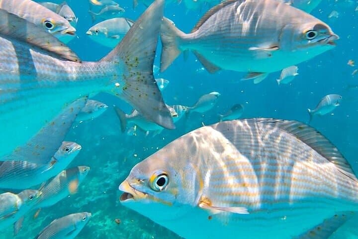 Private Fun Fishing Charter 2