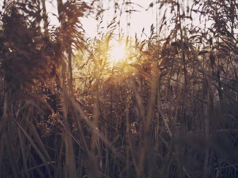 Fishing in Montenegro