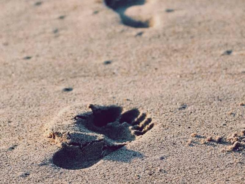 Fishing in Philippines