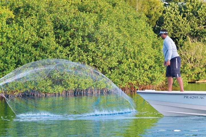 Exciting Light Tackle Tarpon Fishing Adventure - Photo 3
