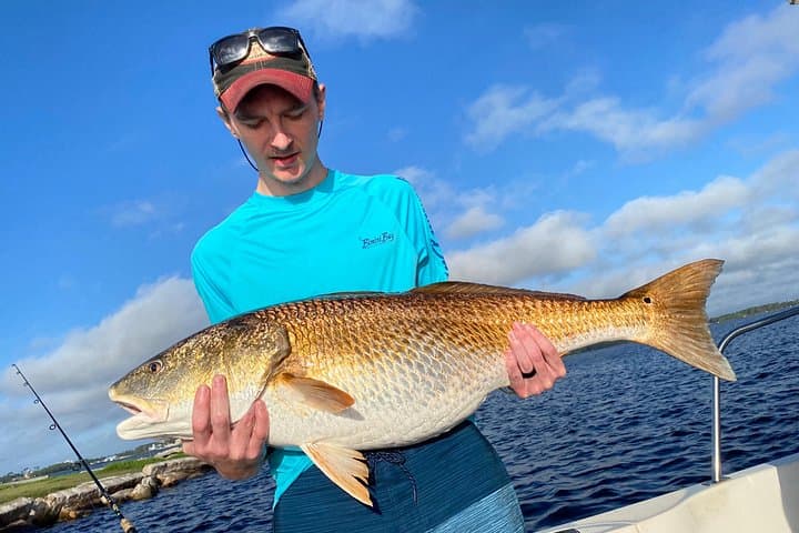 Avventura di Pesca e Raccolta di Conchiglie di Mezza Giornata a Shell Island - Photo 5