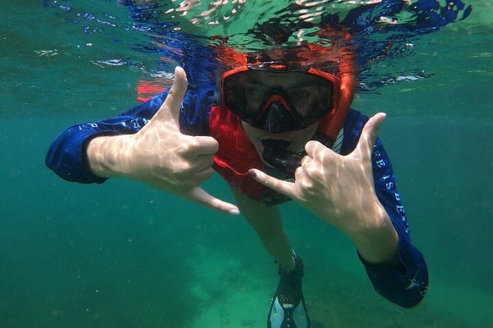 Aventura de Snorkel con Tortugas en San Juan - Photo 5