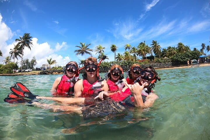 Aventura de Snorkel con Tortugas en San Juan - Photo 1