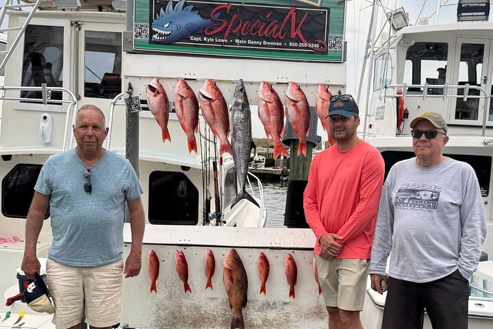 Private 4-Hour Fishing Adventure Aboard the Luxurious Special K - Photo 2