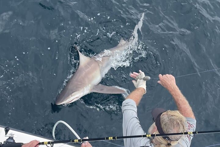 Exclusive 6-Hour Private Fishing Charter Experience - Photo 4