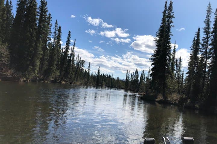 Exciting Guided Fishing Tours on the Chena River - Photo 4