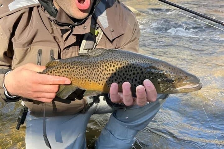 Aventure de pêche à la mouche guidée d'une journée complète pour 3 pêcheurs - Photo 5