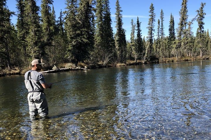 Exciting Guided Fishing Tours on the Chena River - Photo 2