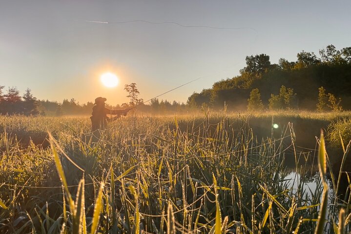Guided Fly Fishing Tours