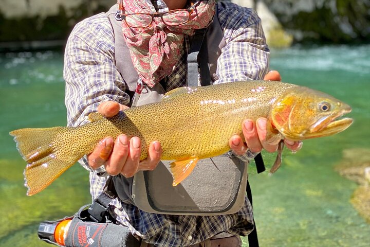 Private Half-day Fly Fishing Activity on the Buffalo Fork River